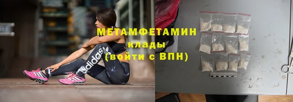 прущие грибы Богородск
