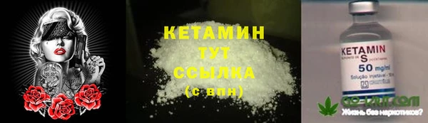 прущие грибы Богородск
