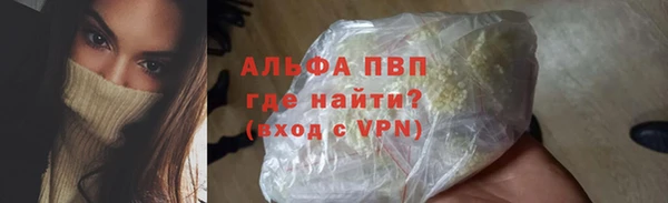 прущие грибы Богородск