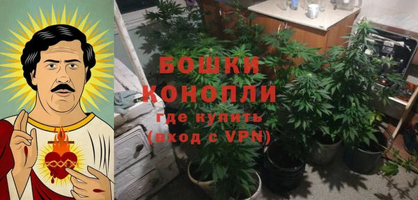 синтетический гашиш Богородицк